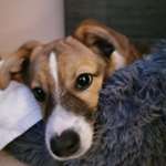 Ersteller:in Michael Profilbild