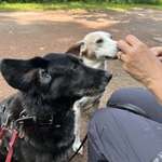 Ersteller:in Andrea Profilbild