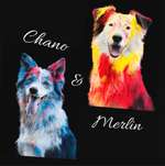 Ersteller:in Vanessa Profilbild