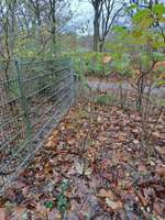 Hundeauslaufgebiet-Wellingsbüttler Landstraße Ost-Bild