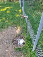 Hundeauslaufgebiet-Area Svago Cani-Bild