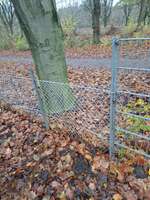 Hundeauslaufgebiet-Wellingsbüttler Landstraße Ost-Bild
