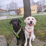 Ersteller:in Sina Profilbild