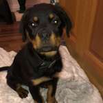 Ersteller:in Christoph Profilbild