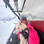 Ersteller:in Lisa Profilbild