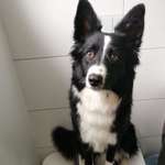 Ersteller:in Janet Profilbild