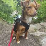 Ersteller:in patricia Profilbild