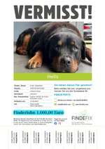 Suchmeldung-Hells-Bild