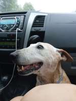 Suchmeldung-Zoe-Bild