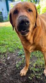 Suchmeldung-Arthos-Bild