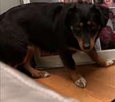 Suchmeldung-Taya-Bild