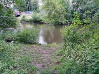 Hundeauslaufgebiet-Auensee-Bild