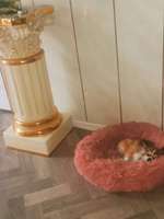 Suchmeldung-Bruno-Bild