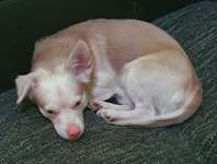 Suchmeldung-Max-Bild