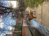 Suchmeldung-Bärbel-Bild