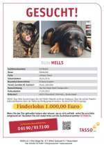 Suchmeldung-Hells-Bild