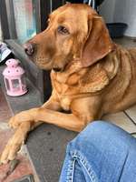 Suchmeldung-Arthos-Bild