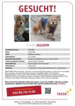 Suchmeldung-Julchen-Bild