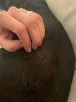 Weiße Haarwurzel/ Fellansatz-Beitrag-Bild