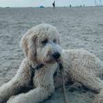 Ersteller:in Katherine Profilbild