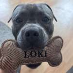 Ersteller:in Mich Profilbild