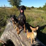 Ersteller:in Celine Profilbild