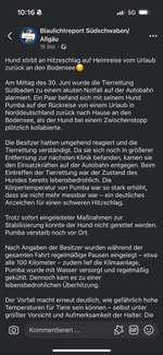 Hitzeschlag/ Hitzetod trotz Klimaanlage-Beitrag-Bild