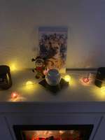 Tod seines geliebten Vierbeiners-Beitrag-Bild