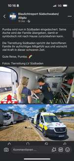 Hitzeschlag/ Hitzetod trotz Klimaanlage-Beitrag-Bild