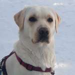 Ersteller:in Judith Profilbild