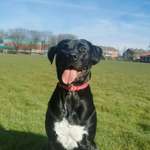 Ersteller:in Anna Profilbild