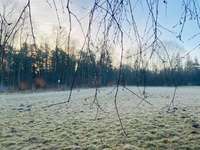 Hundeauslaufgebiet-Augsburg Stadtwald-Bild