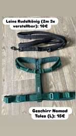 Geschirr/Halsband/Leine und Bücher-Beitrag-Bild
