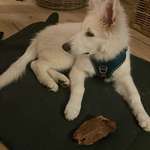 Ersteller:in Peer Profilbild