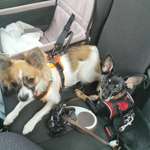 Ersteller:in H Profilbild