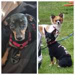 Ersteller:in H Profilbild