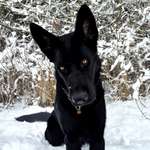 Ersteller:in Di Profilbild