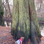 Ersteller:in Franziska Profilbild