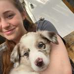 Ersteller:in Justine Profilbild