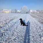 Ersteller:in Thomas Profilbild