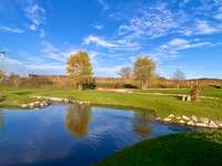 Hundeauslaufgebiet-Fischtreppe-Bild