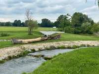 Hundeauslaufgebiet-Fischtreppe-Bild