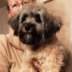 Ersteller:in Rita Profilbild