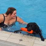 Ersteller:in Alina Profilbild