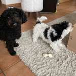 Ersteller:in Yvonne Profilbild