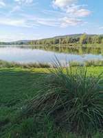 Hundeauslaufgebiet-Hundestrand Werratalsee Ostufer-Bild