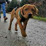 Ersteller:in Andy Profilbild