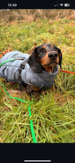 Angst vor Jacke?-Beitrag-Bild