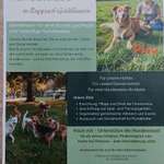 Hundeauslaufgebiet-Hundewiese Ruppach-Goldhausen-Bild