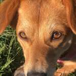 Ersteller:in Tanja Profilbild